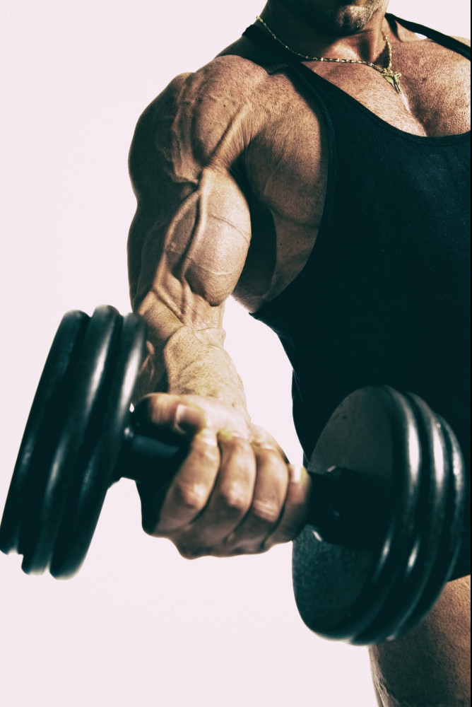 dumbbell - exercises - for - biceps